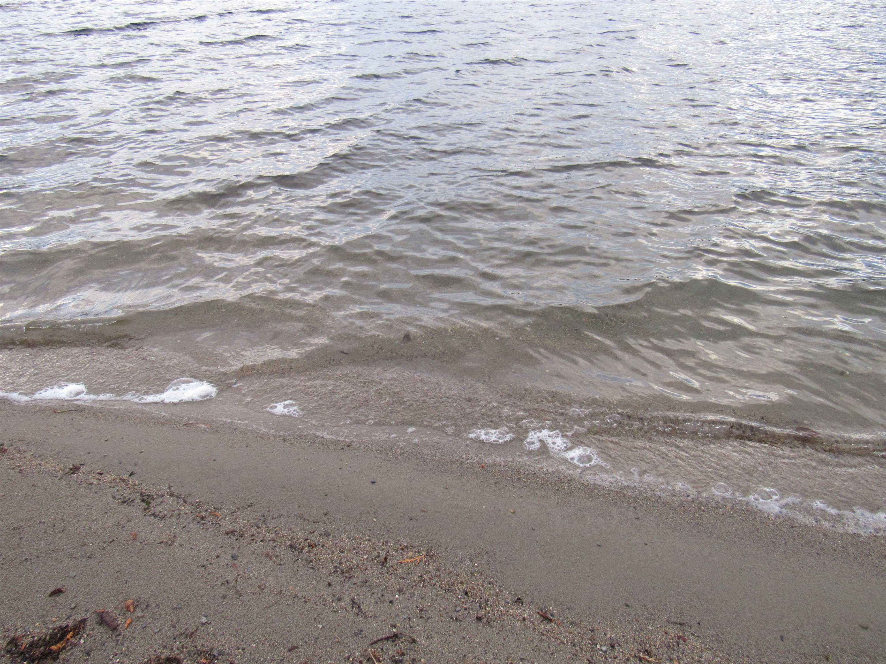 471 Seymour East Morgan, VT 05853 - Photo 12 of 52