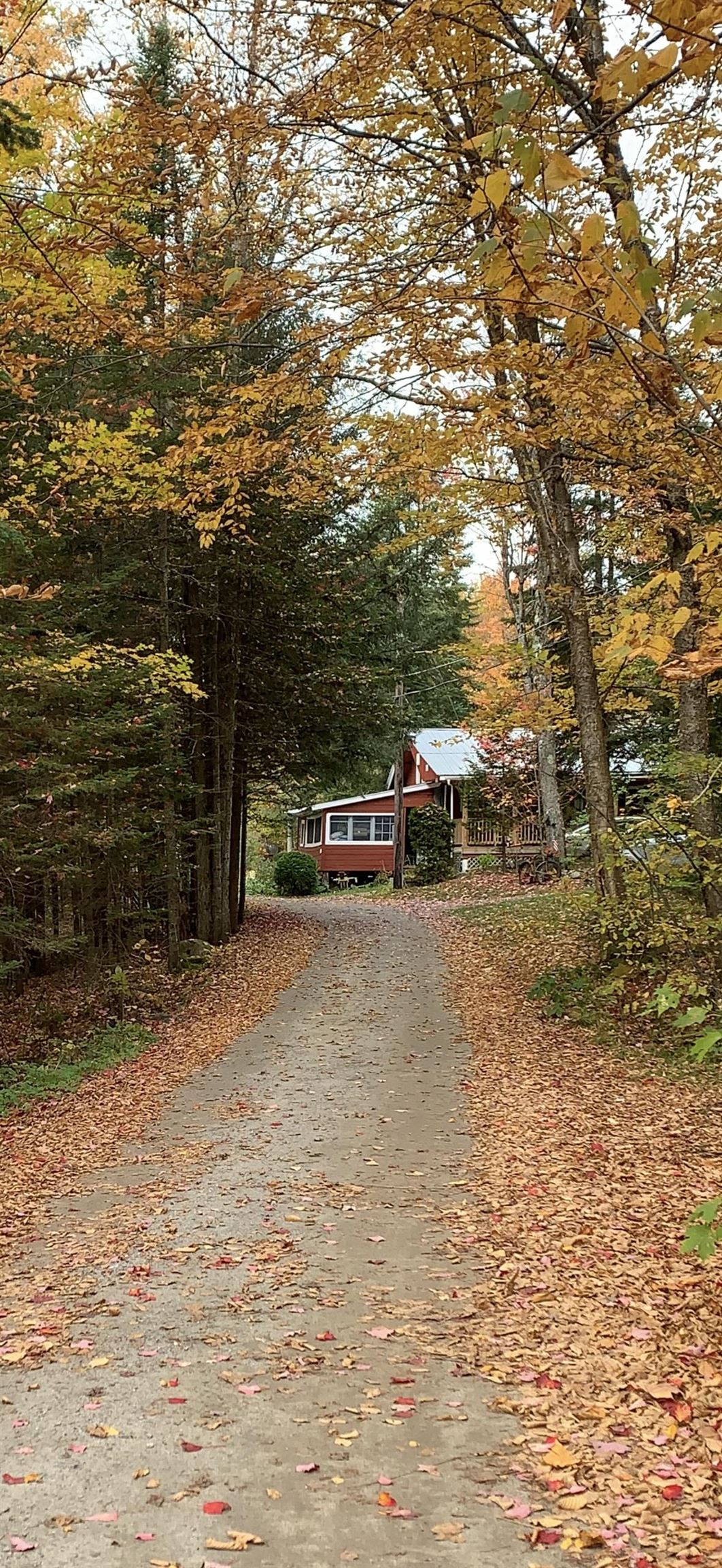 471 Seymour East Morgan, VT 05853 - Photo 46 of 52