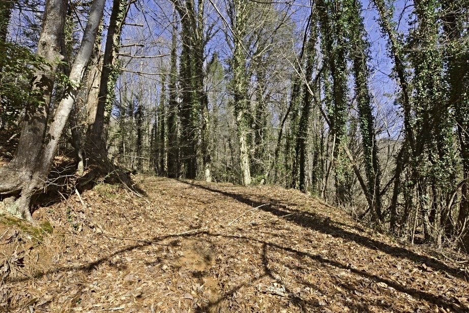 Gallery Image 7