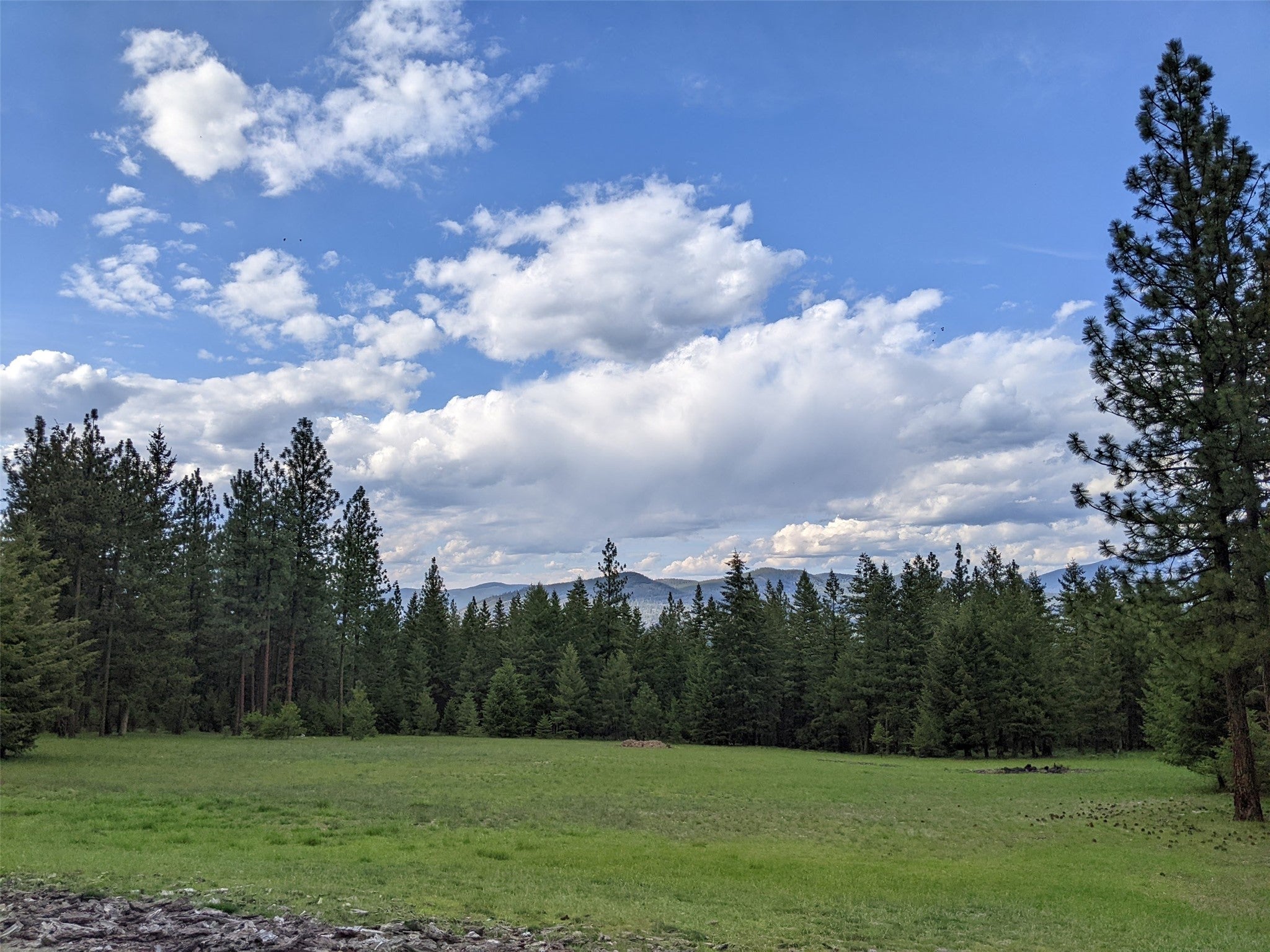 70 Mountain Road Plains, MT 59859 - Photo 15 of 88 Gallery Image 15