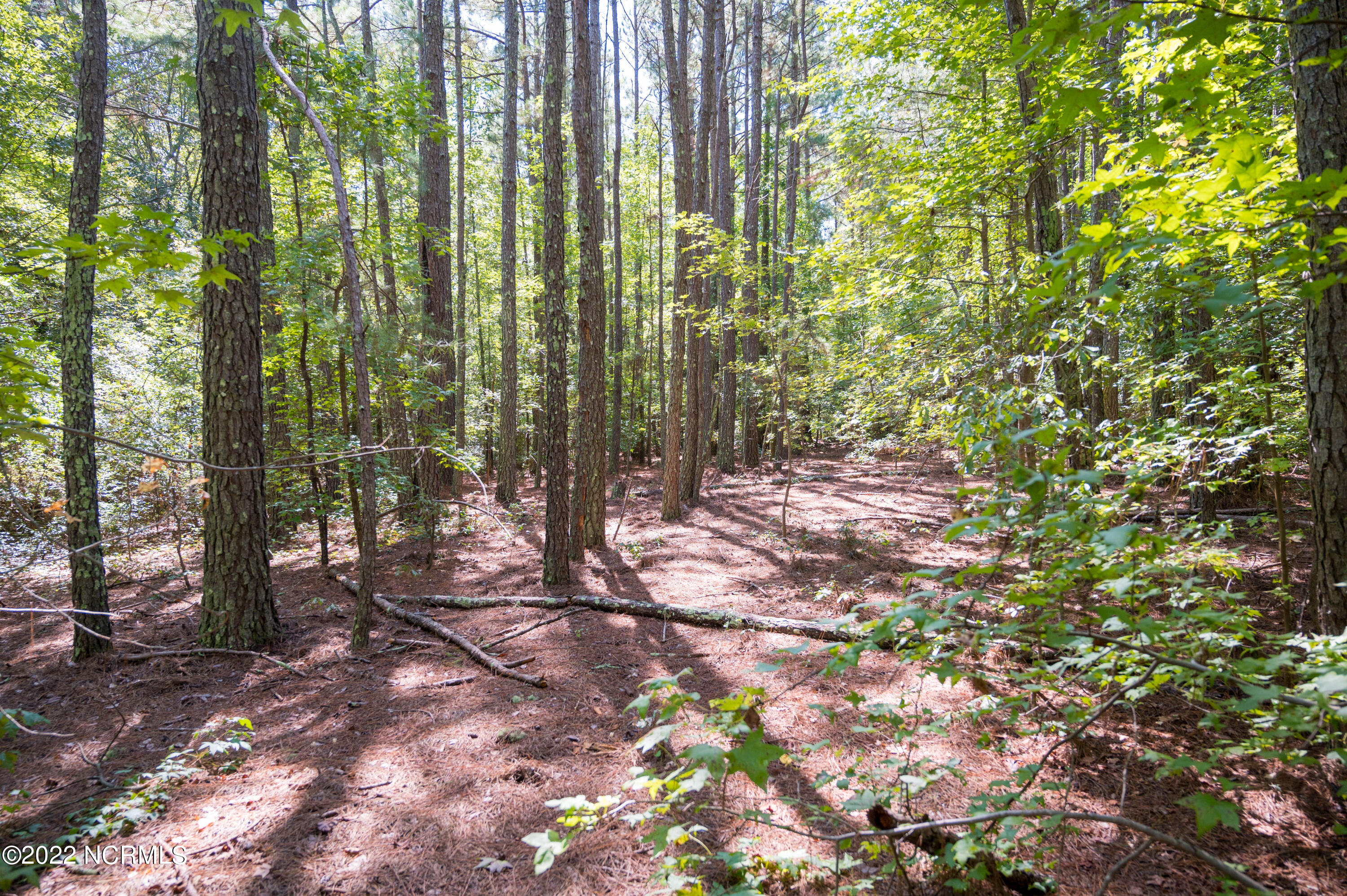 0 Wayside Lane Bunnlevel, NC 28323 - Photo 11 of 16 Harnett 25.51-21