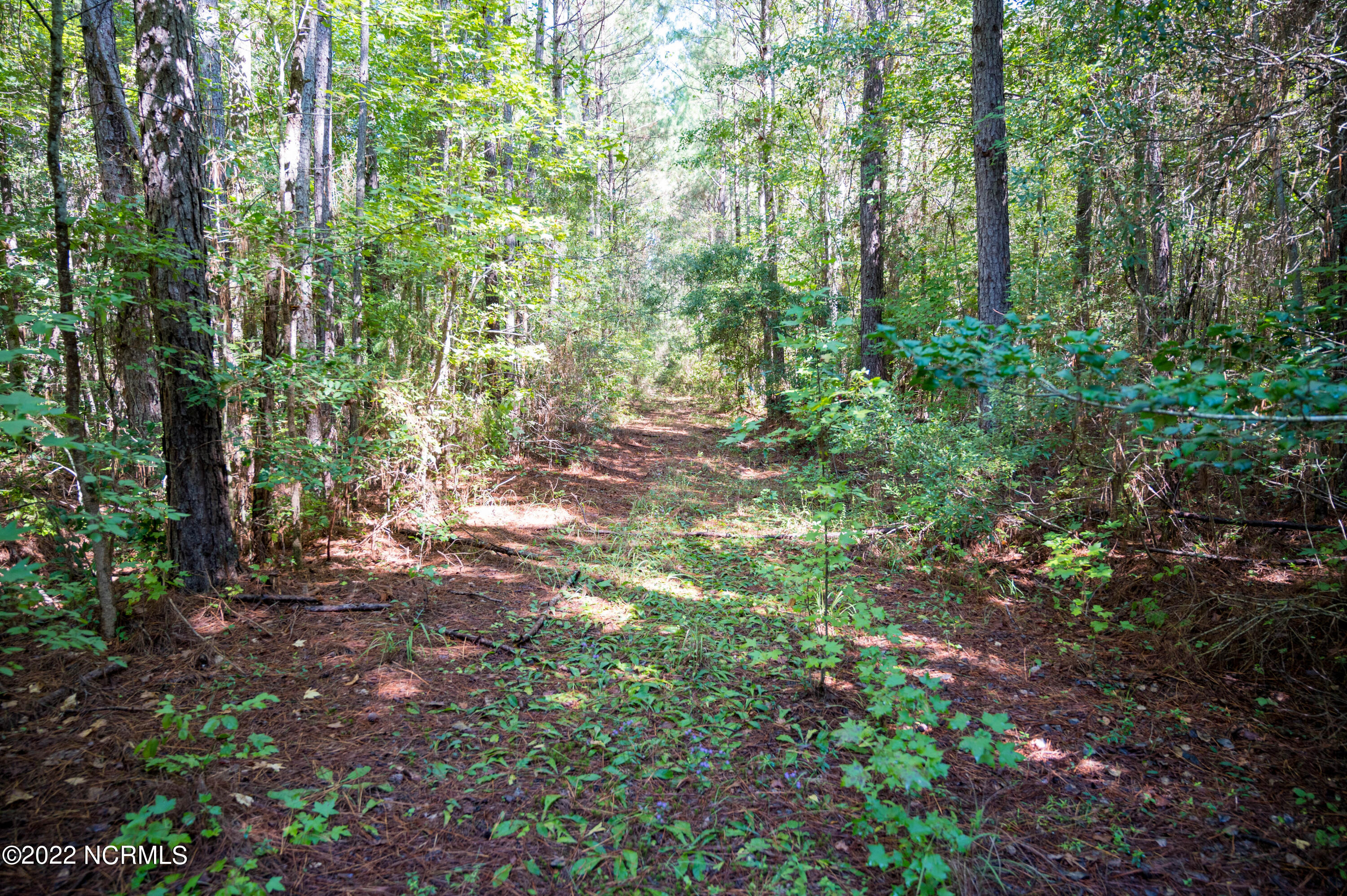 0 Wayside Lane Bunnlevel, NC 28323 - Photo 13 of 16 Harnett 25.51-12