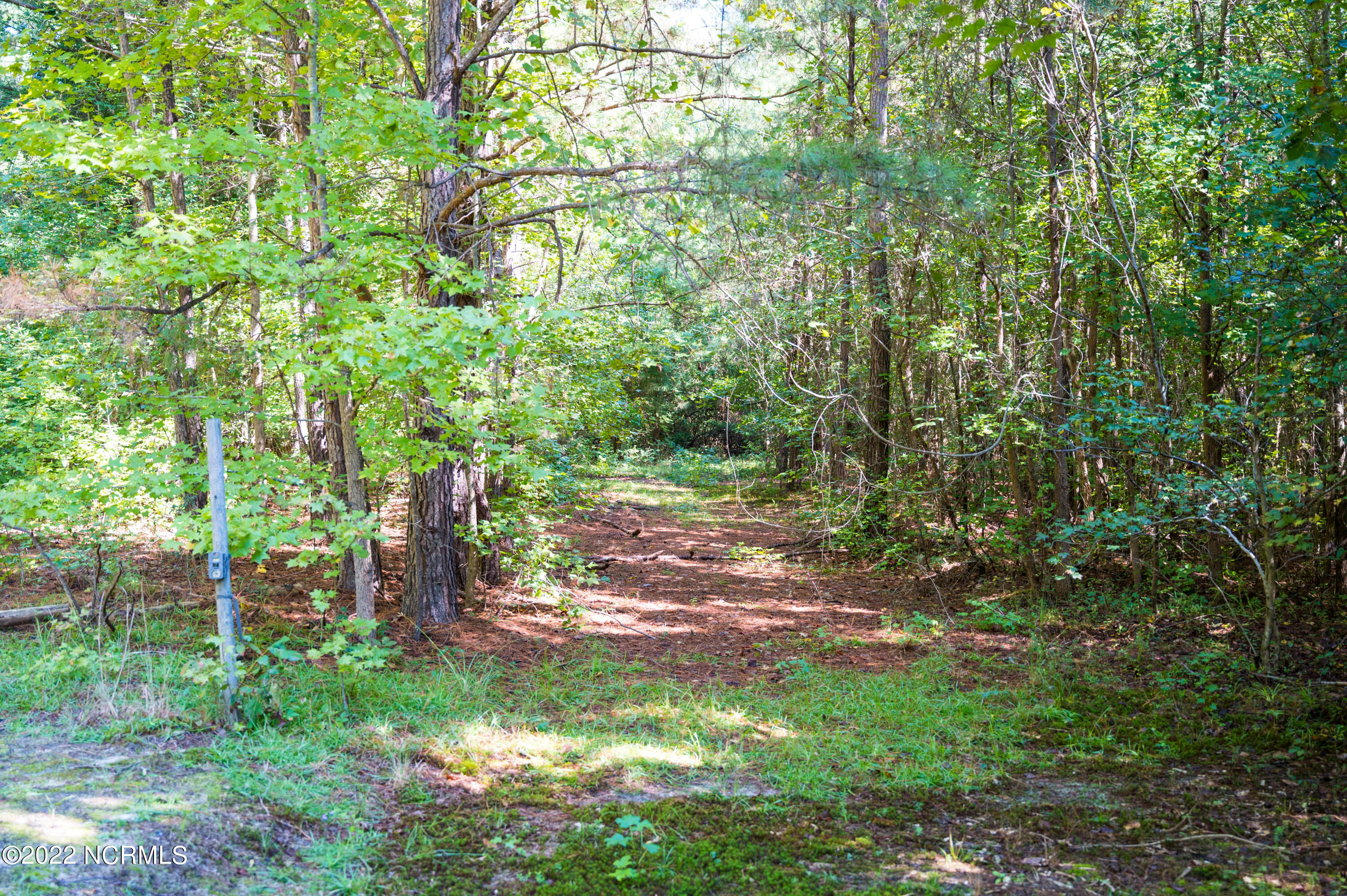 0 Wayside Lane Bunnlevel, NC 28323 - Photo 14 of 16 Harnett 25.51-4