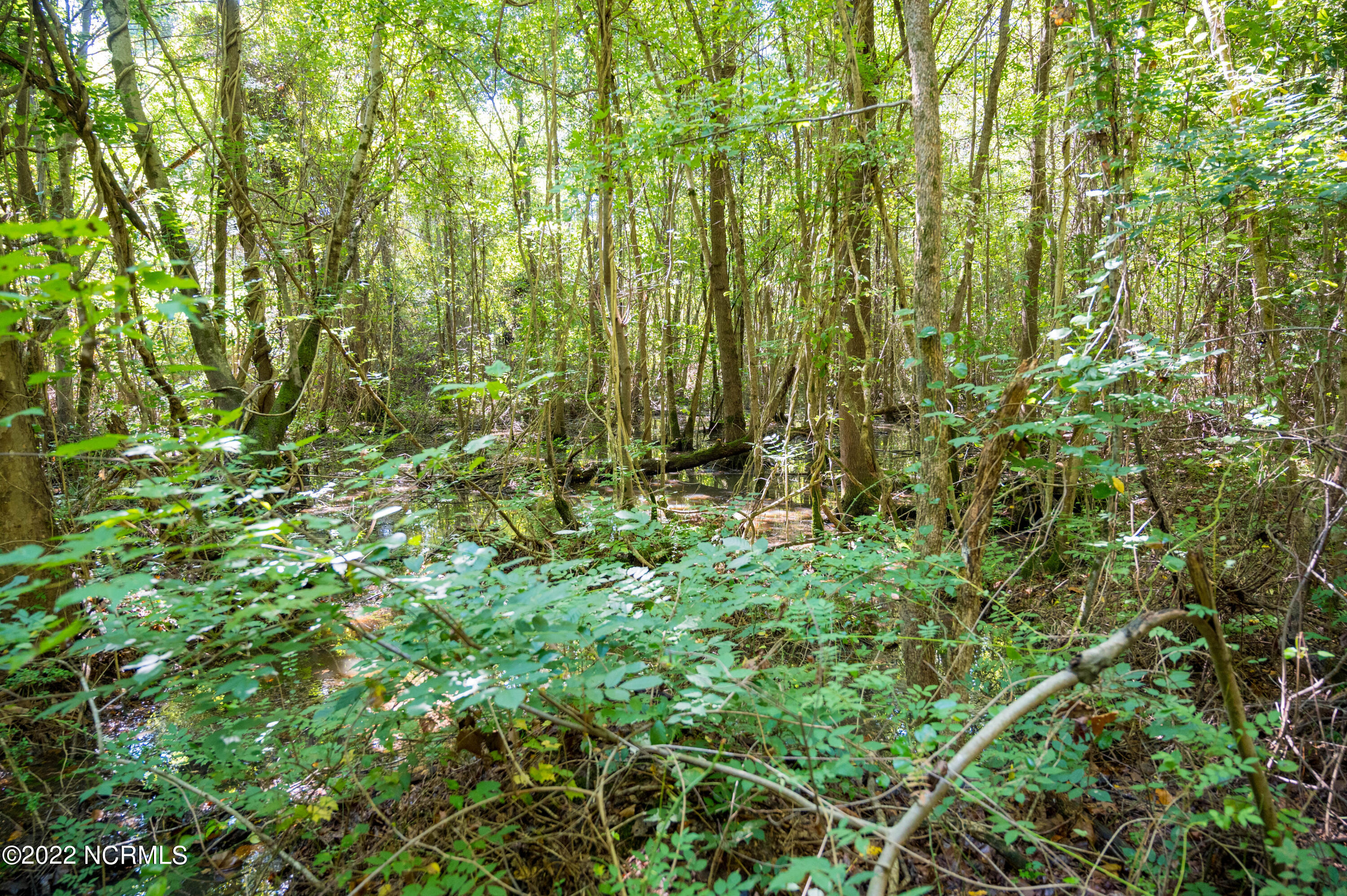 0 Wayside Lane Bunnlevel, NC 28323 - Photo 16 of 16 Harnett 25.51-9