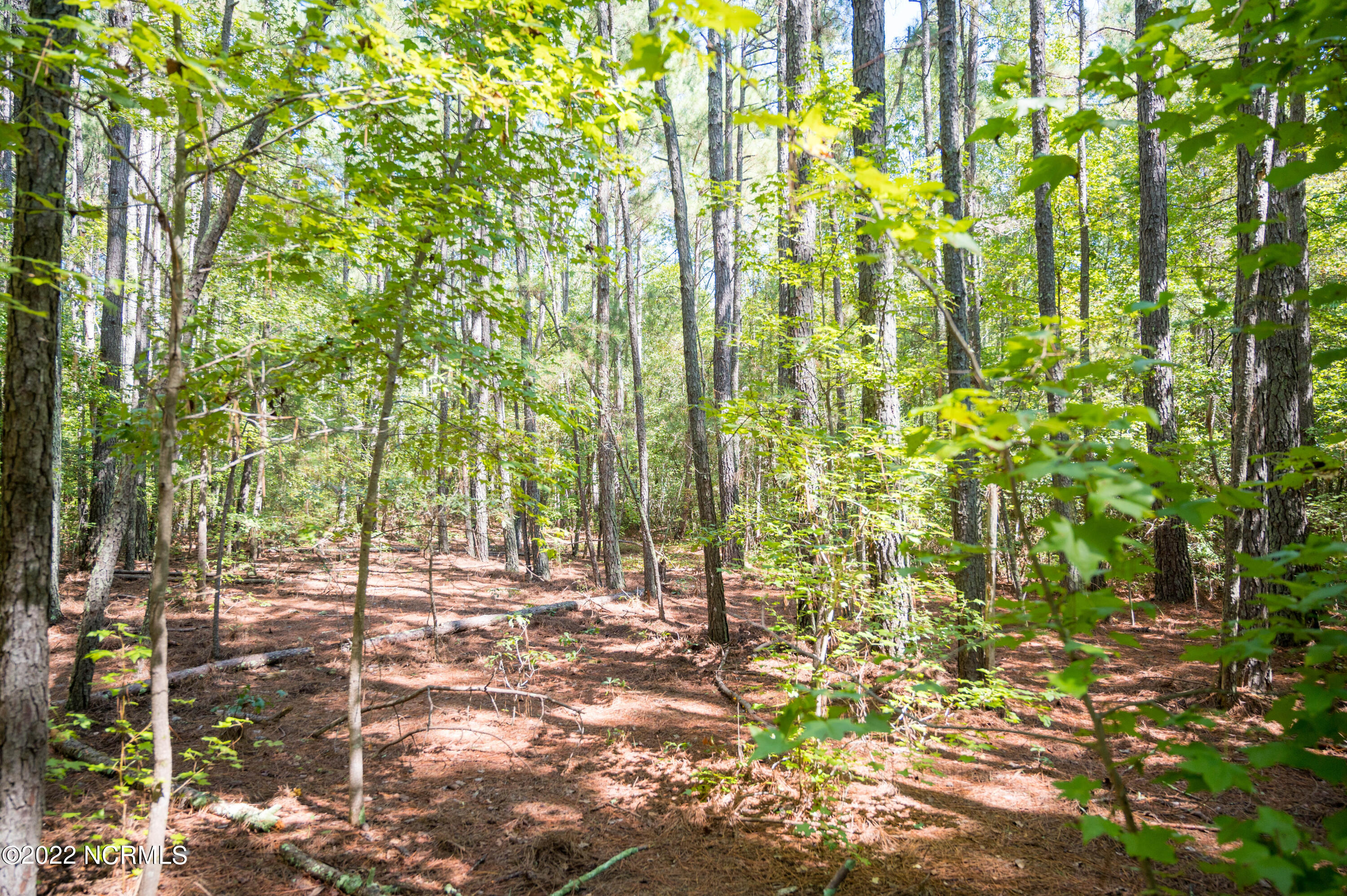 0 Wayside Lane Bunnlevel, NC 28323 - Photo 4 of 16 Harnett 25.51-20