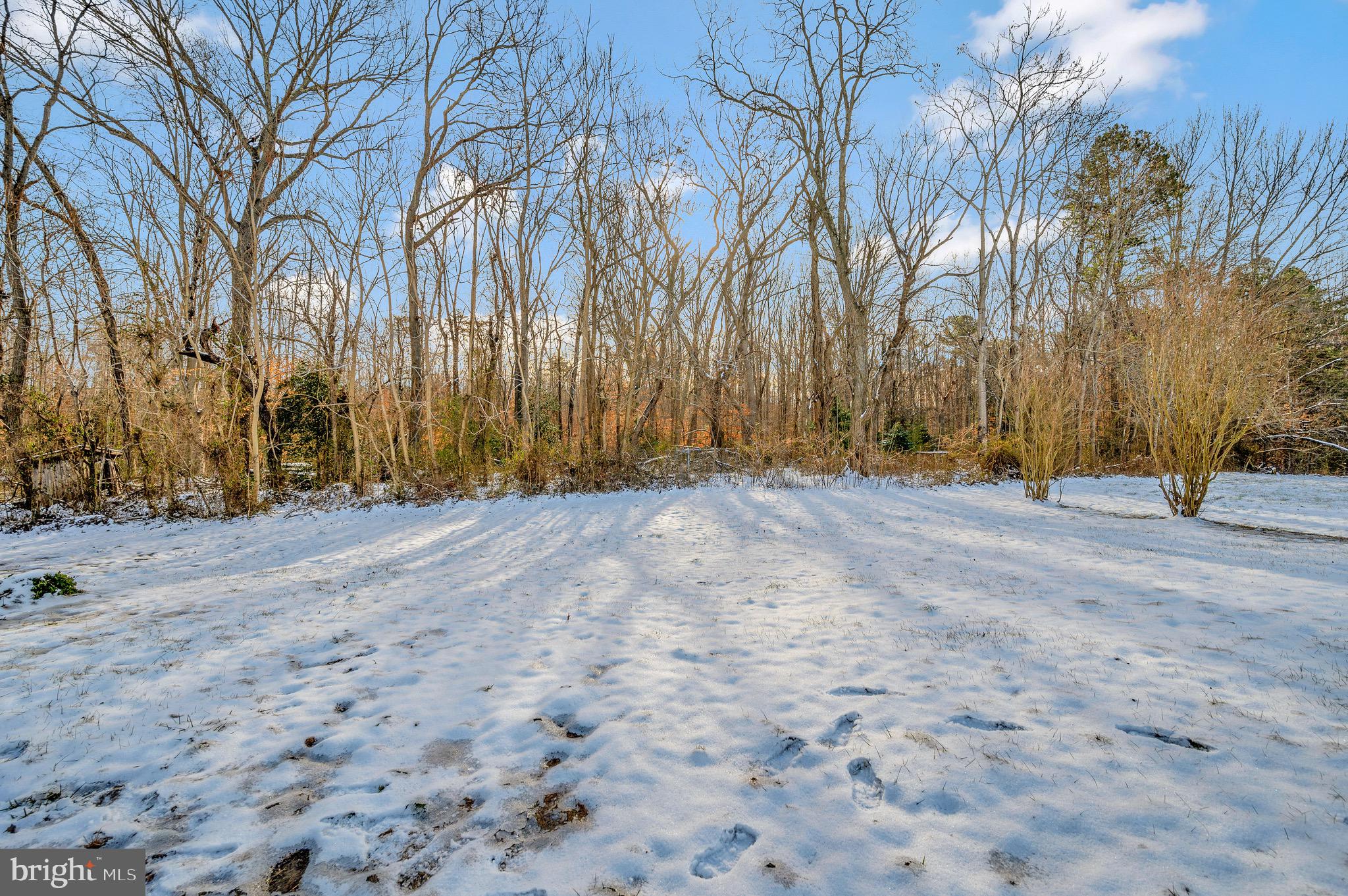 20193 Anderson Mill Road Beaverdam, VA 23015 - Photo 32 of 34