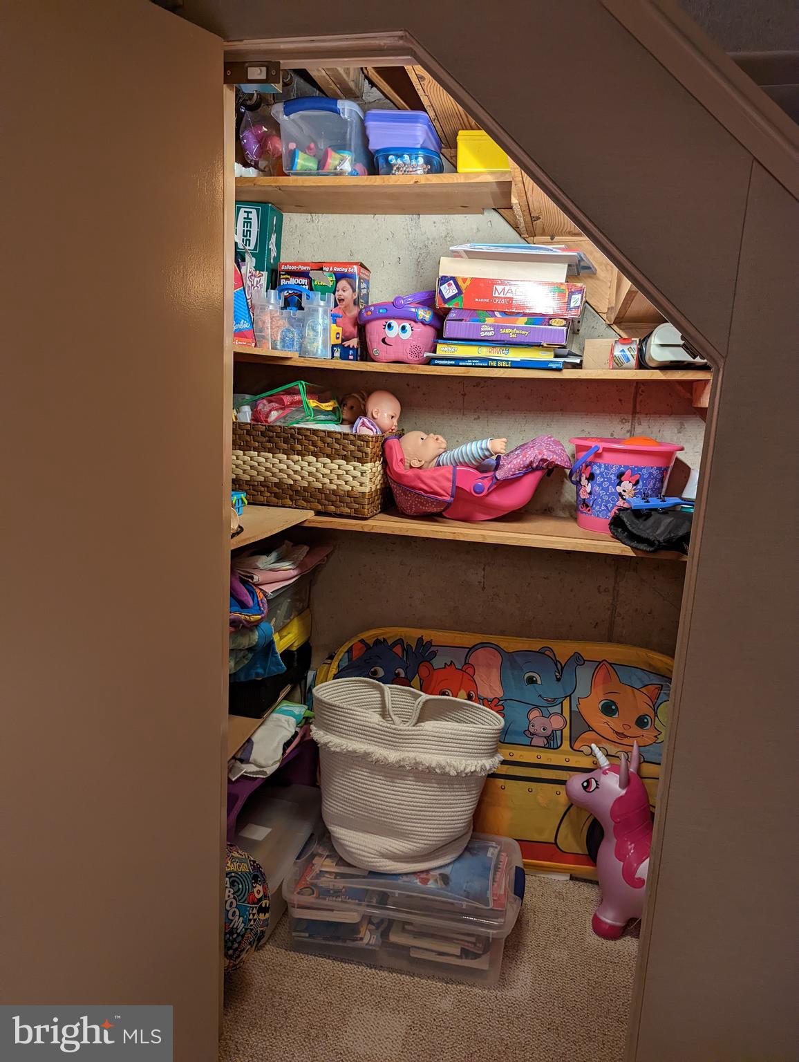 3975 Constance Road Philadelphia, PA 19114 - Photo 27 of 36 Lower Level Under-Step Storage