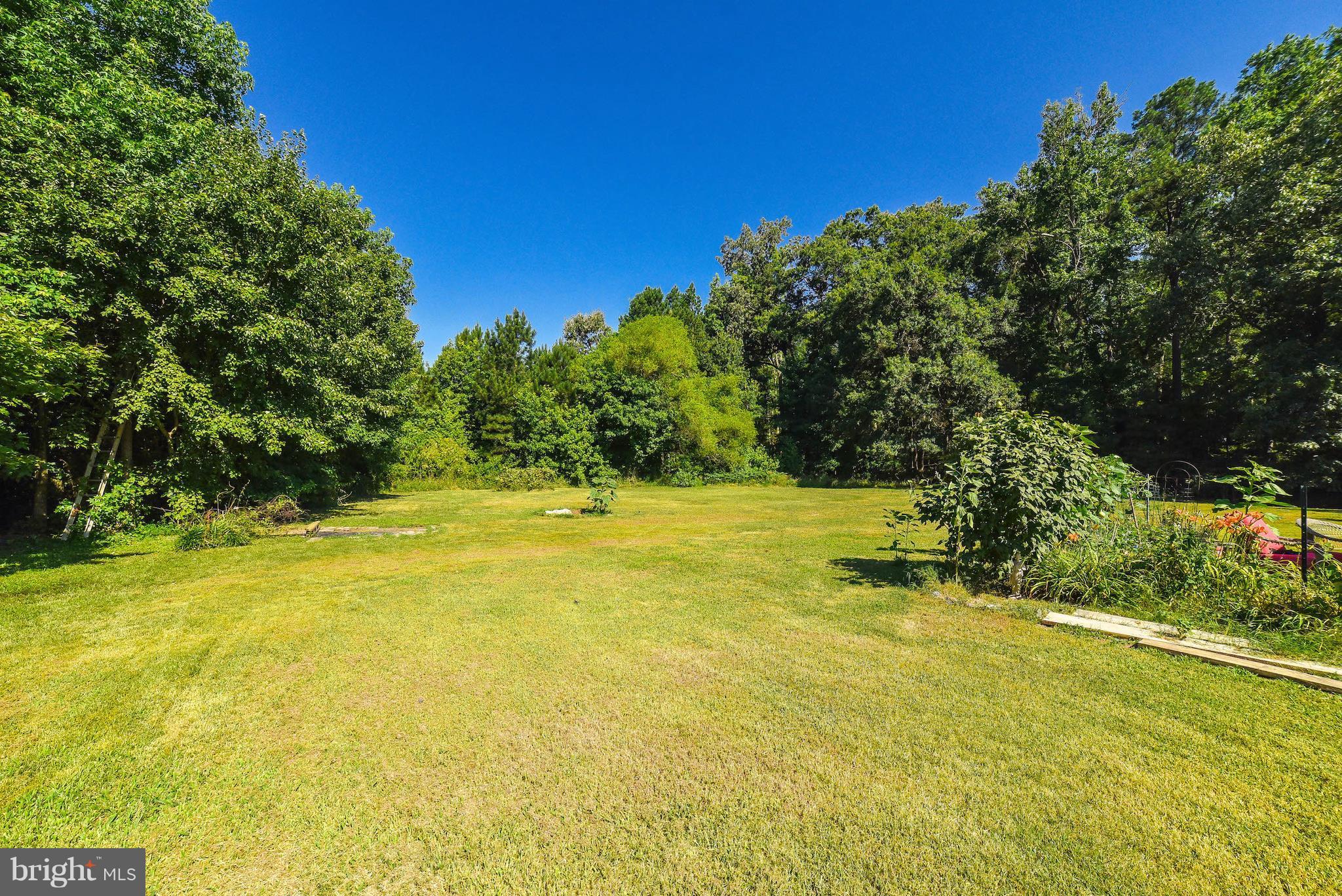 14977 Rock Point Road Newburg, MD 20664 - Photo 3 of 18 Lots of outside space!