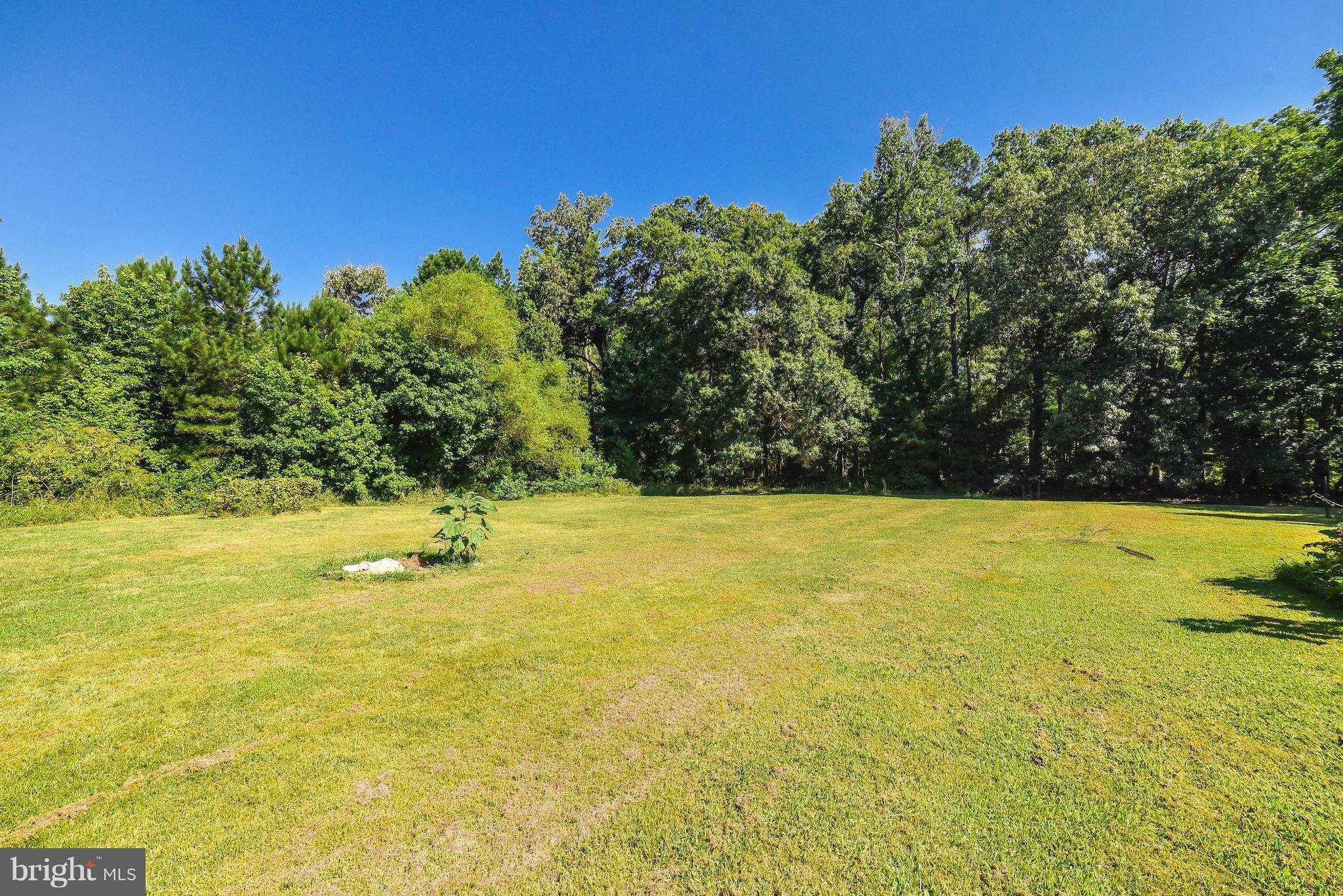 14977 Rock Point Road Newburg, MD 20664 - Photo 4 of 18 Great back yard!