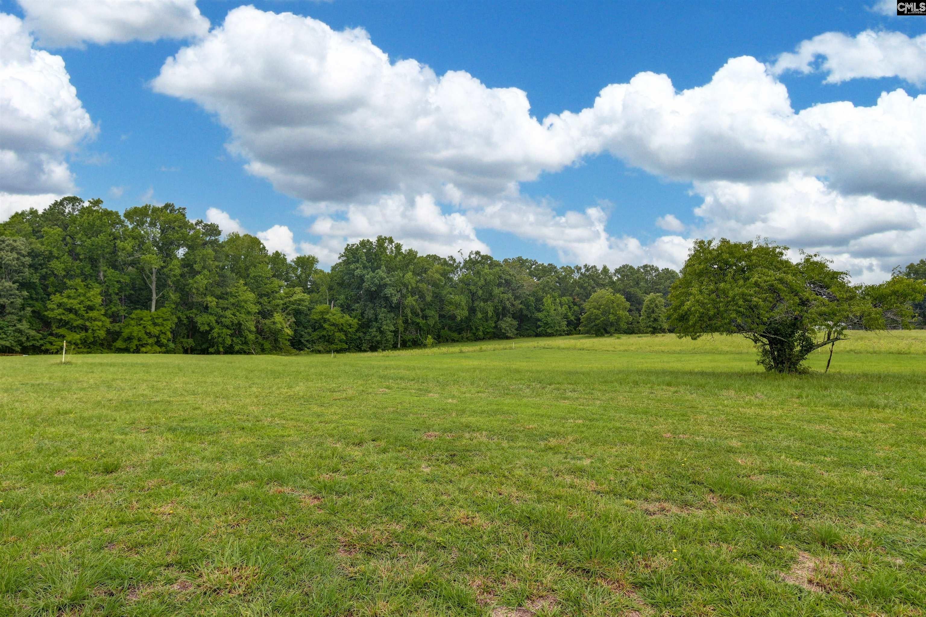 5463 Wheeland Road Little Mountain, SC 29075 - Photo 36 of 41 Gallery Image 36