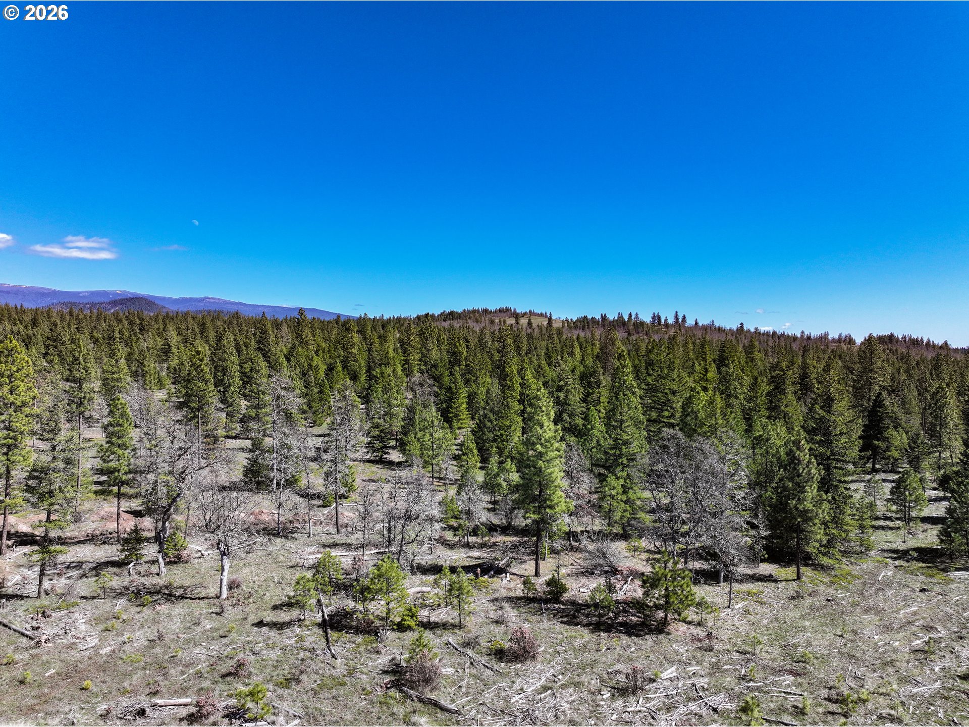 Ginger Way, Unit 2 Goldendale, WA 98620 - Photo 8 of 12 a view of a forest with trees