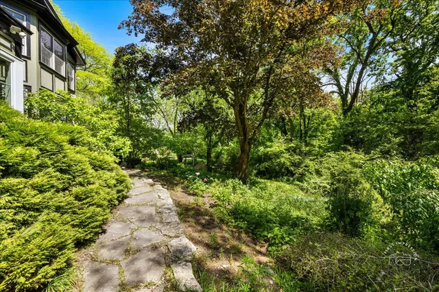 a view of a pathway both side of yard