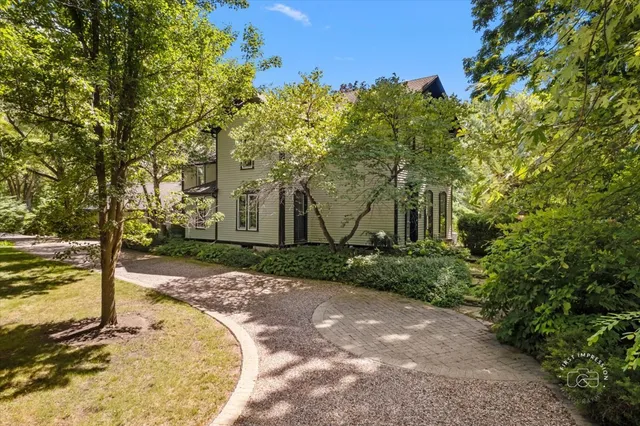 a view of a backyard with large trees