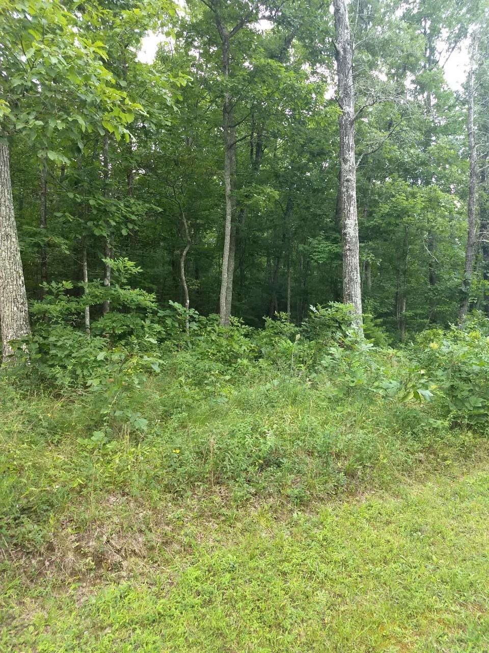 130 Manchester Road Crossville, TN 38558 - Photo 1 of 6 Manchester4