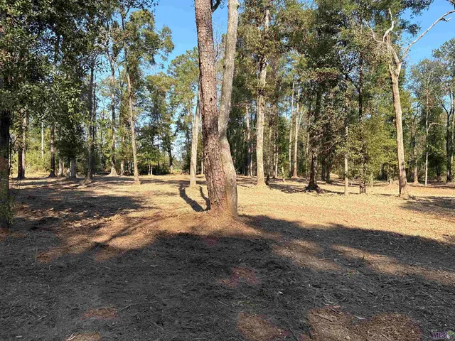 $75,000 | 334 Westmoreland Lane, Amite, LA 70422