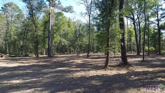 $75,000 | 334 Westmoreland Lane, Amite, LA 70422
