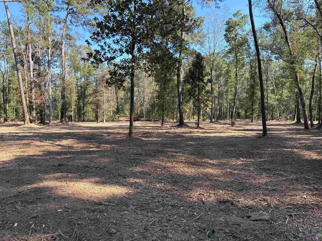 $75,000 | 334 Westmoreland Lane, Amite, LA 70422