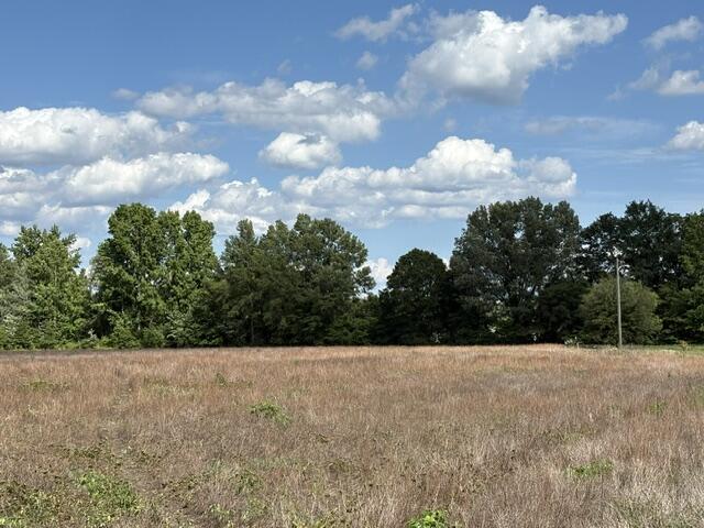 Tbd Liberty Hill Road Summerton, SC 29148 - Photo 2 of 4