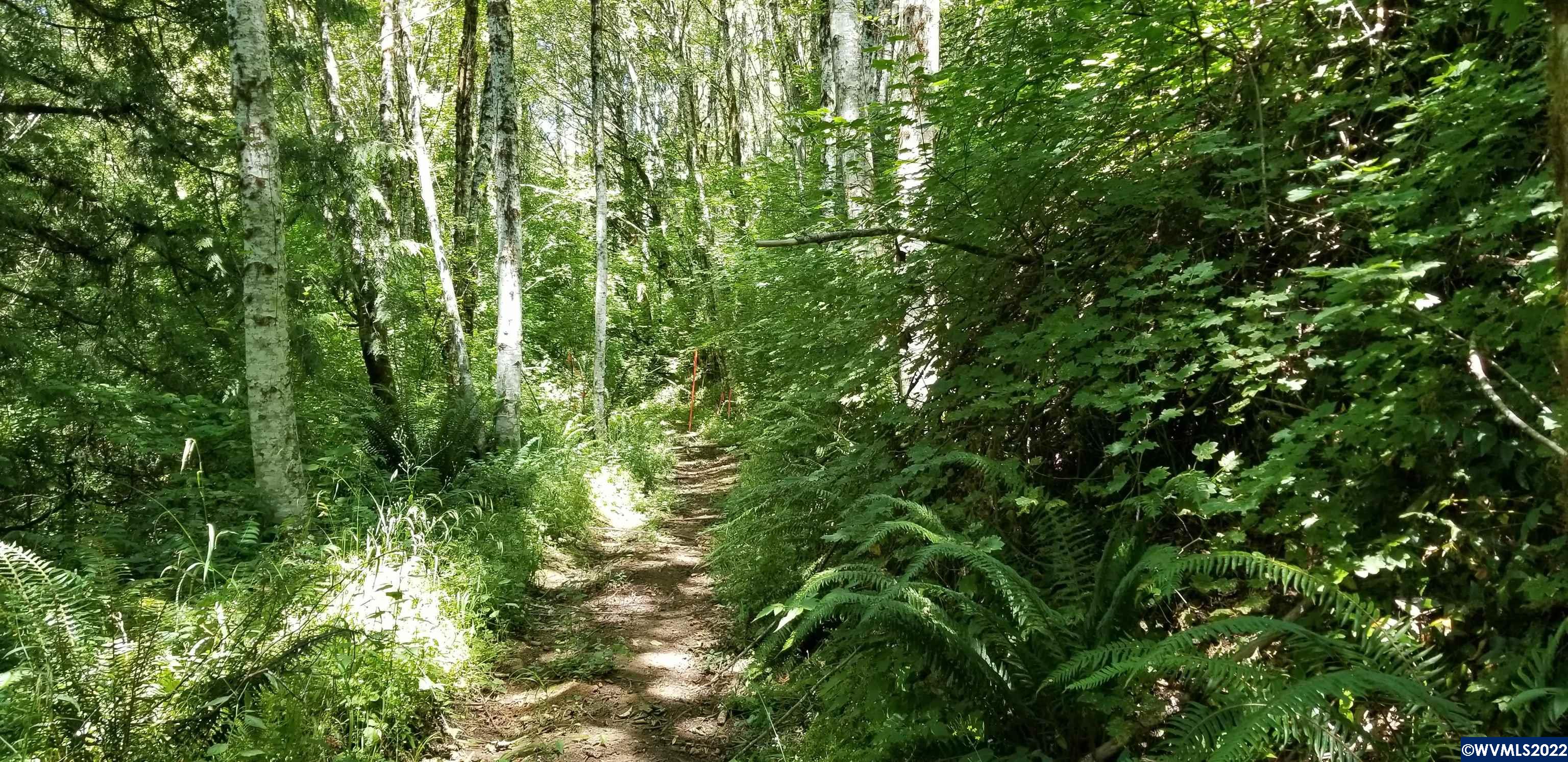 0 Northwest Dixie Mountain Road Scappoose, OR 97056 - Photo 3 of 4