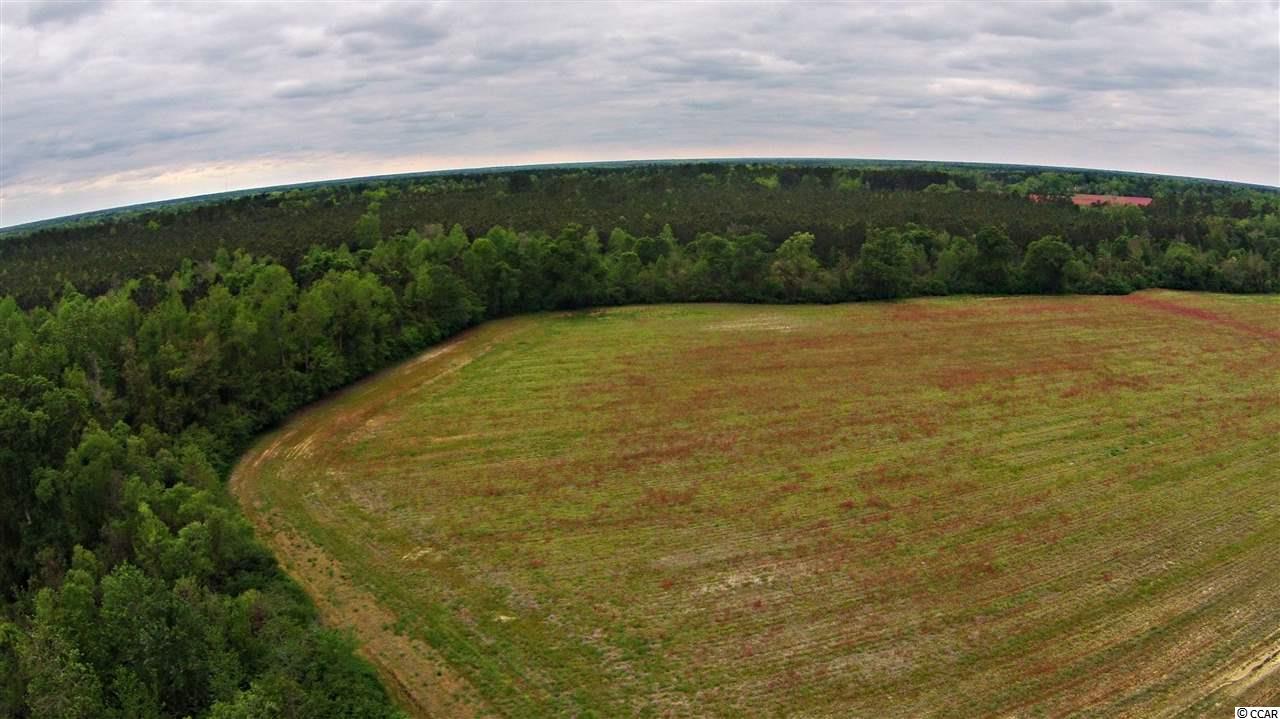 596 County Rd S-45-498 Andrews, SC 29510 - Photo 22 of 25