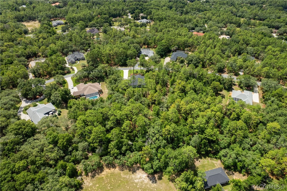 3946 North Longvalley Road Hernando, FL 34442 - Photo 51 of 58