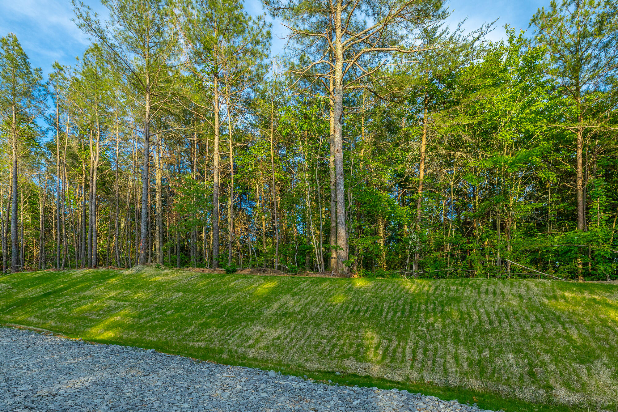 0 Cannon Way, Unit LOT 1317 Guild, TN 37340 - Photo 13 of 99 0 Cannon Way - Lot 1317 HD-58