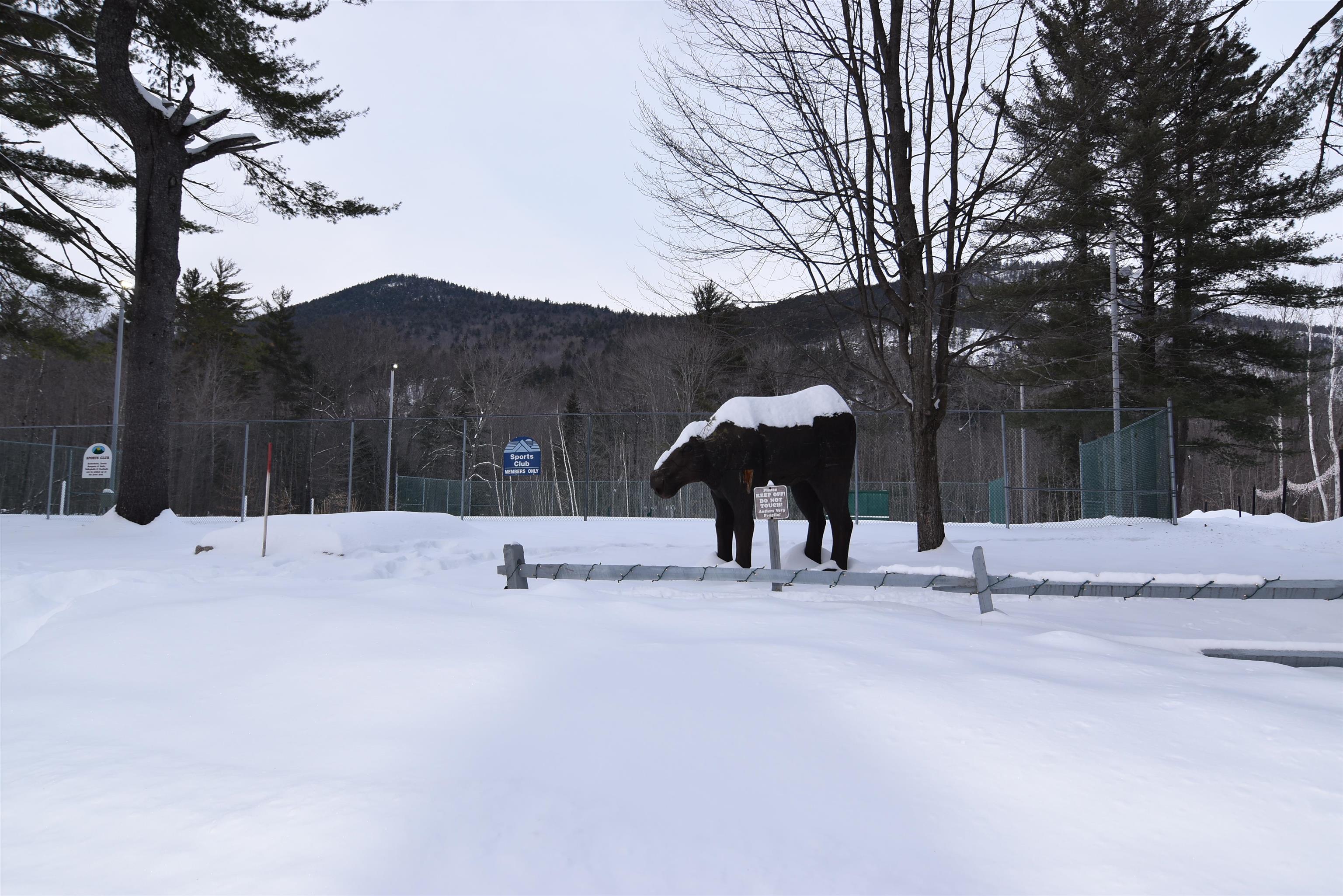 5 River Run Road Bartlett, NH 03812 - Photo 23 of 30 Gallery Image 23