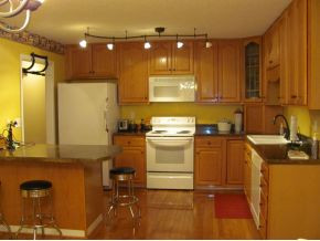 304 Bill Bennett Road Johnson City, TN 37604 - Photo 7 of 12 Island Breakfast Bar