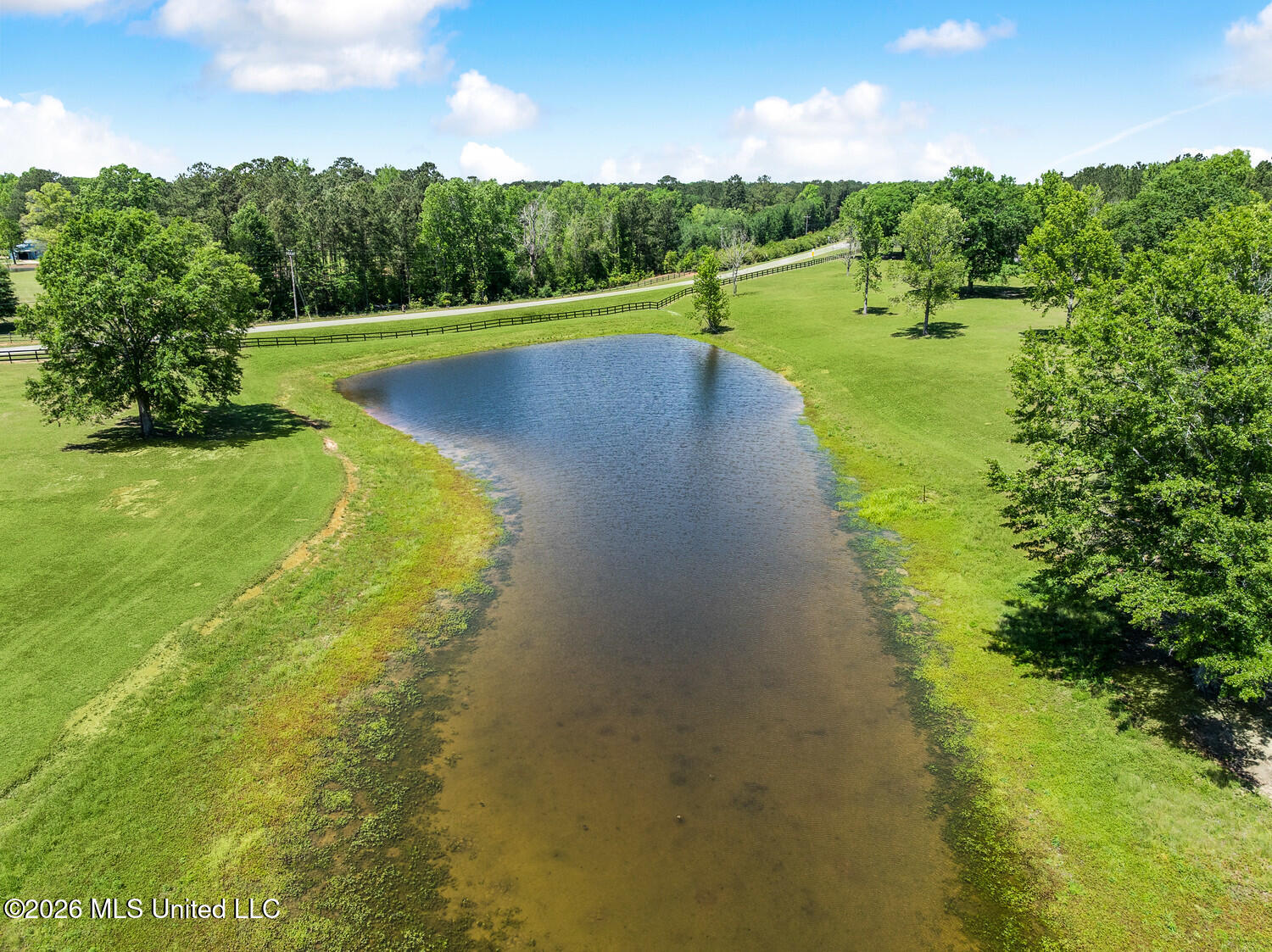 242 Carey Byrd Road Carriere, MS 39426 - Photo 54 of 65 Stocked pond