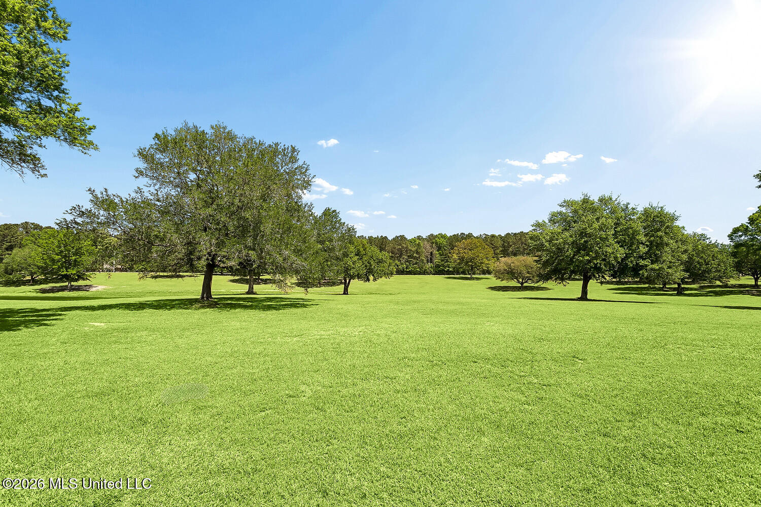242 Carey Byrd Road Carriere, MS 39426 - Photo 55 of 65 Manicured grounds