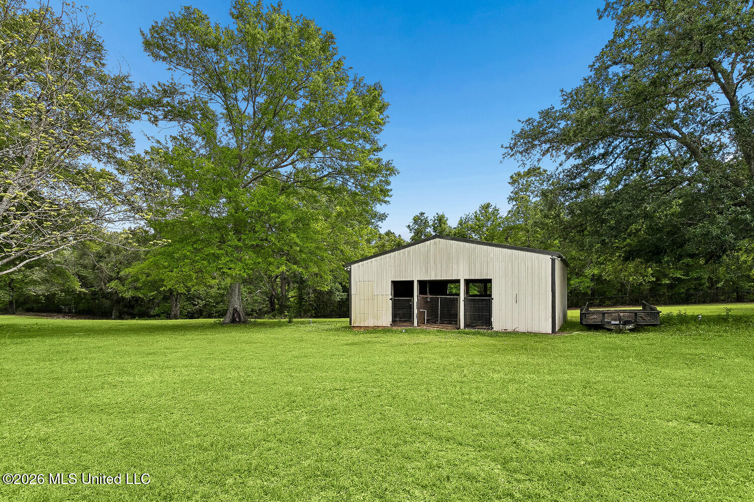 242 Carey Byrd Road Carriere, MS 39426 - Photo 61 of 65 Stable