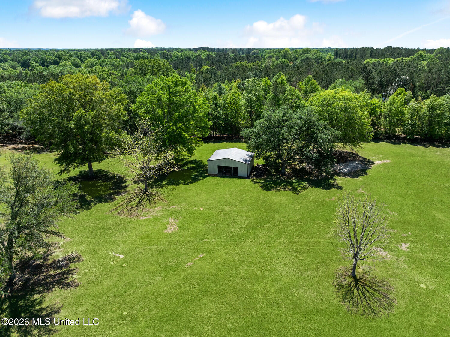 242 Carey Byrd Road Carriere, MS 39426 - Photo 62 of 65 Aerial