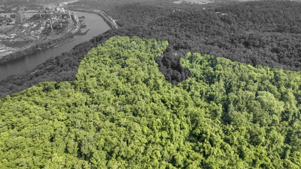 150 Coyote Ridge Road Elizabeth, PA 15037 - Photo 14 of 15