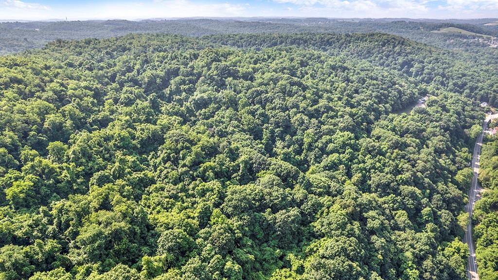 150 Coyote Ridge Road Elizabeth, PA 15037 - Photo 3 of 15