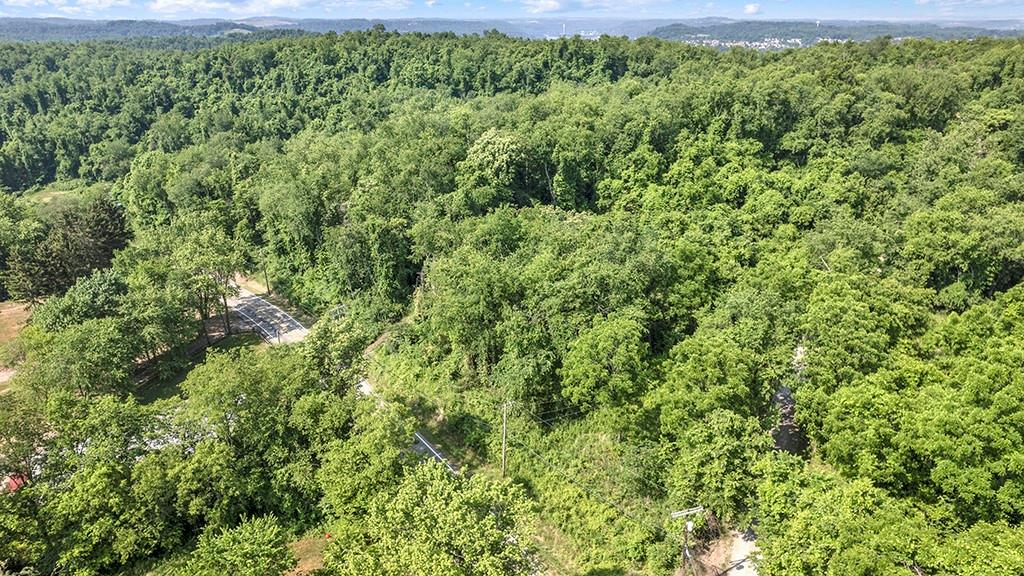 150 Coyote Ridge Road Elizabeth, PA 15037 - Photo 4 of 15