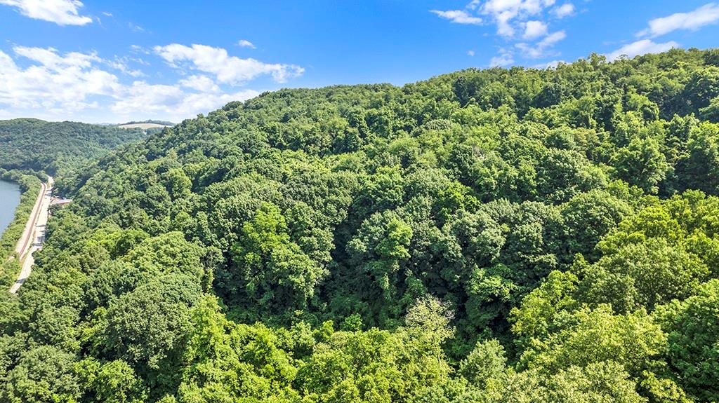 150 Coyote Ridge Road Elizabeth, PA 15037 - Photo 9 of 15