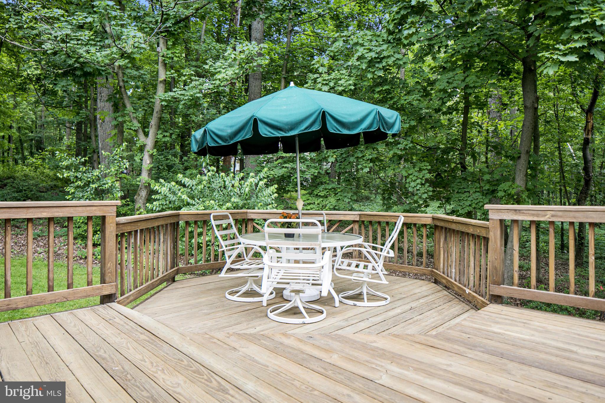 12601 Fingerboard Road Monrovia, MD 21770 - Photo 50 of 56