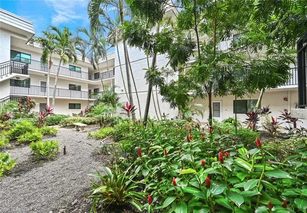 a close up of a flower in a garden