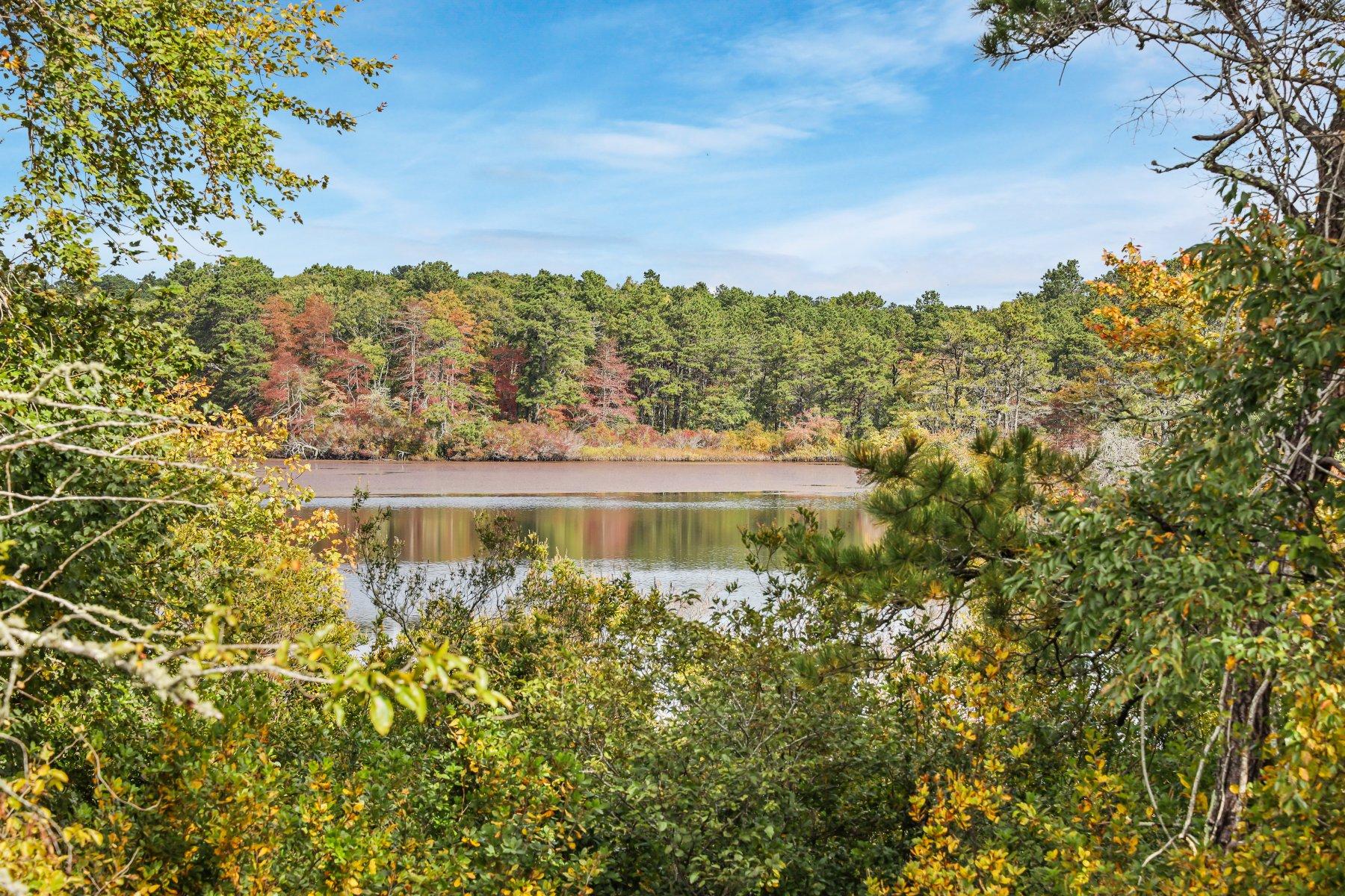 602 Queen Anne Road Harwich, MA 02645 - Photo 43 of 44 3P2A0552