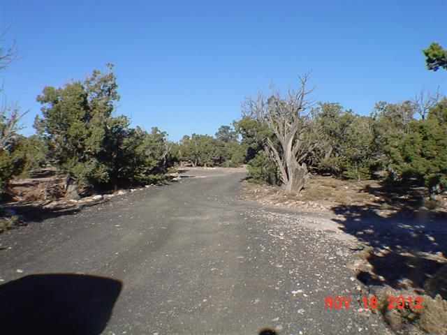 Lot 157 Tamarron Ranch Concho, AZ 85924 - Photo 32 of 35