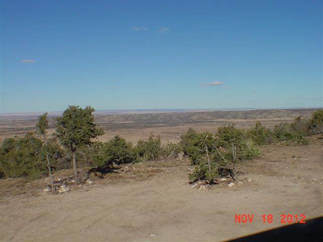 Lot 157 Tamarron Ranch Concho, AZ 85924 - Photo 4 of 35
