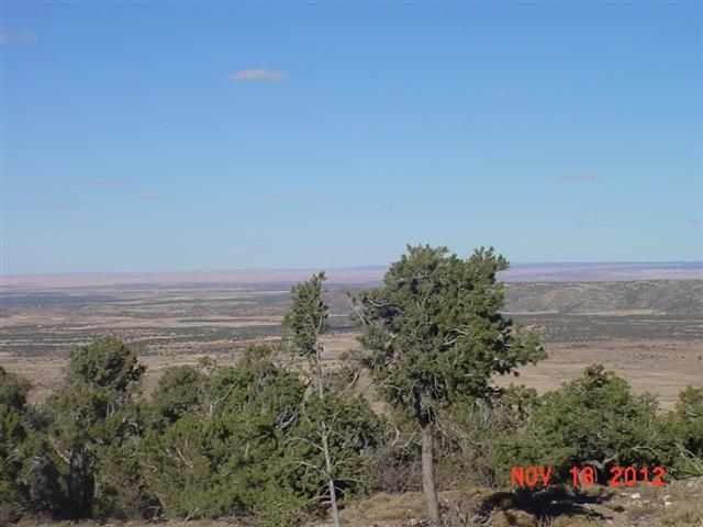 Lot 157 Tamarron Ranch Concho, AZ 85924 - Photo 5 of 35