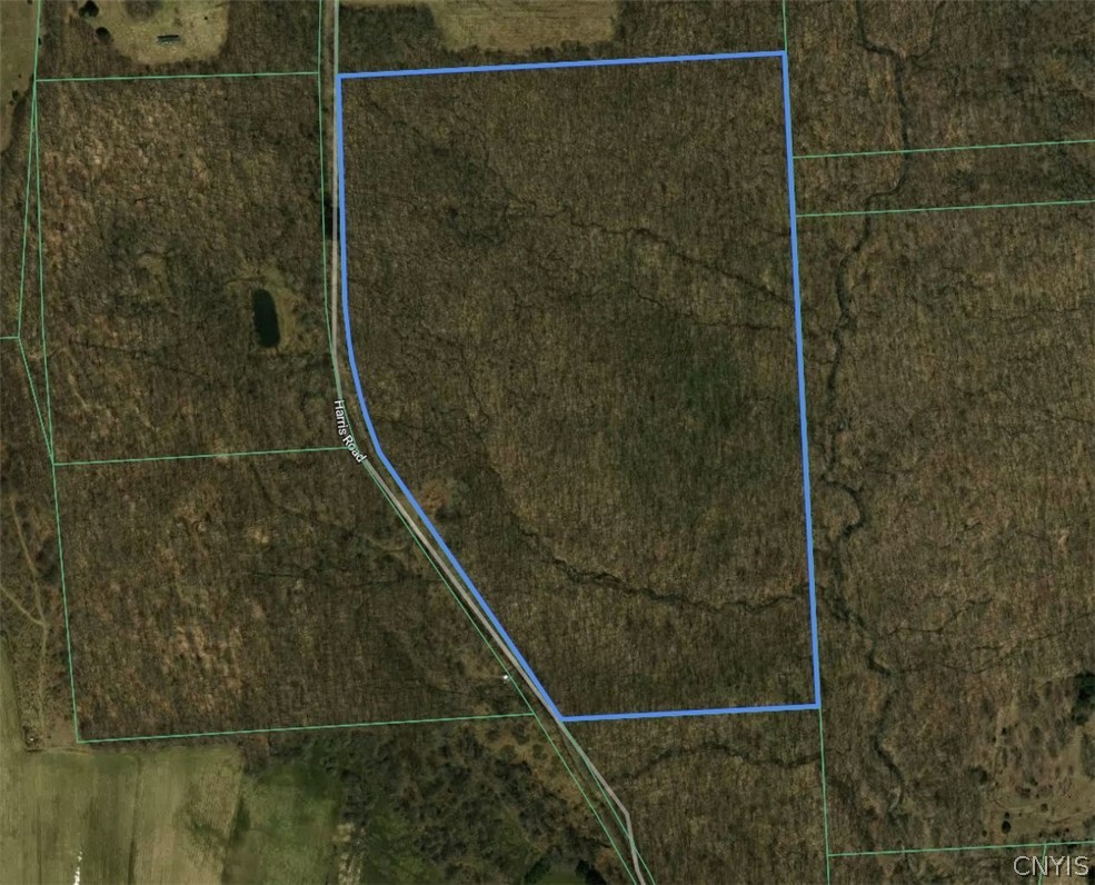 Harris Road Cincinnatus, NY 13040 - Photo 7 of 22 Gallery Image 7