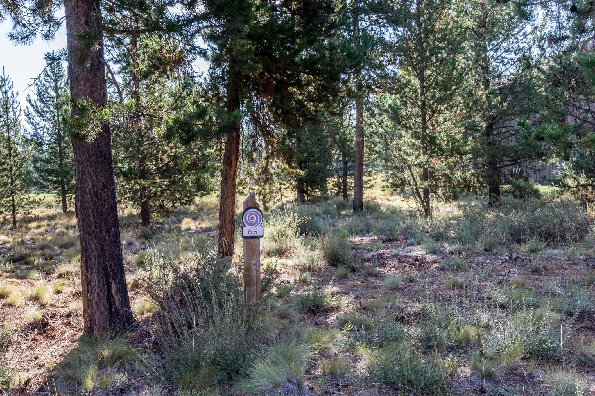 56694 Dancing Rock Loop Bend, OR 97707 - Photo 2 of 7 65 Dancing Rock Loop-2