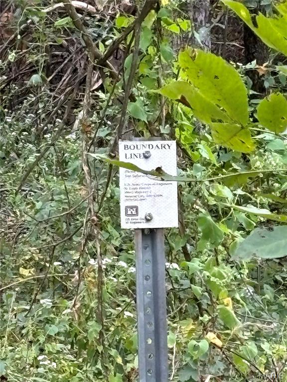 30 Leo Lane Perry, MO 63462 - Photo 16 of 21