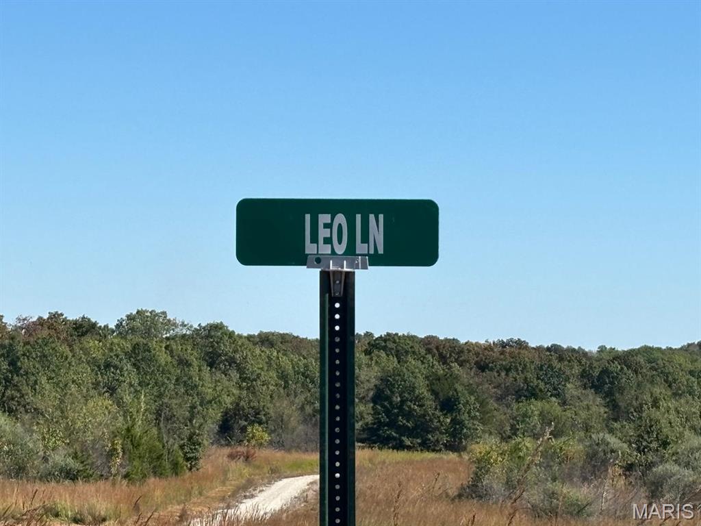 30 Leo Lane Perry, MO 63462 - Photo 17 of 21
