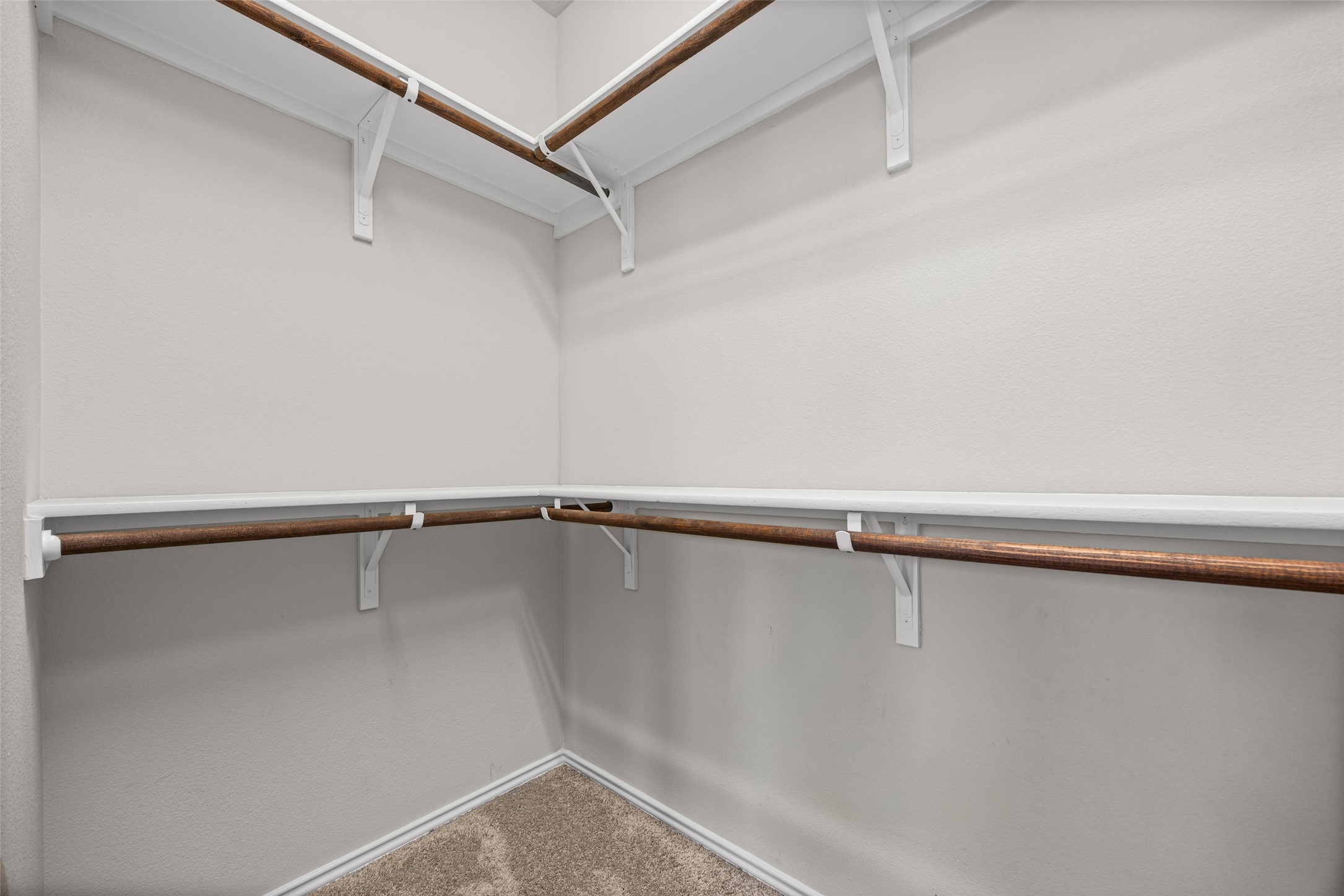17401 Silent Harbor Loop Pflugerville, TX 78660 - Photo 24 of 37 Walk in closet featuring carpet