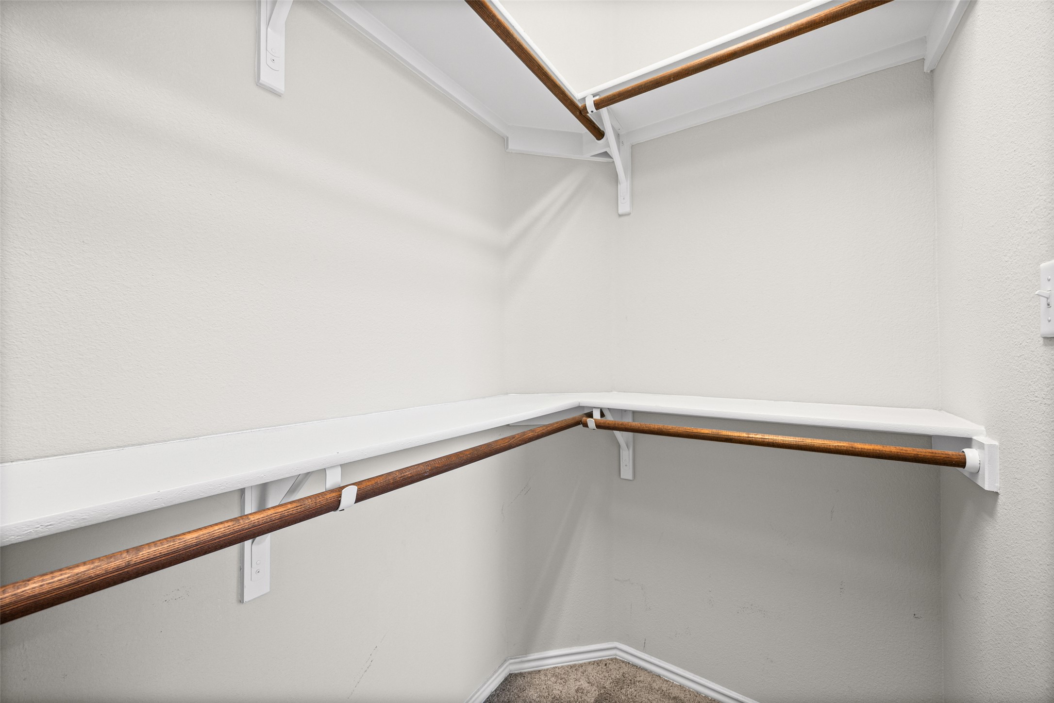 17401 Silent Harbor Loop Pflugerville, TX 78660 - Photo 29 of 37 Walk in closet featuring carpet