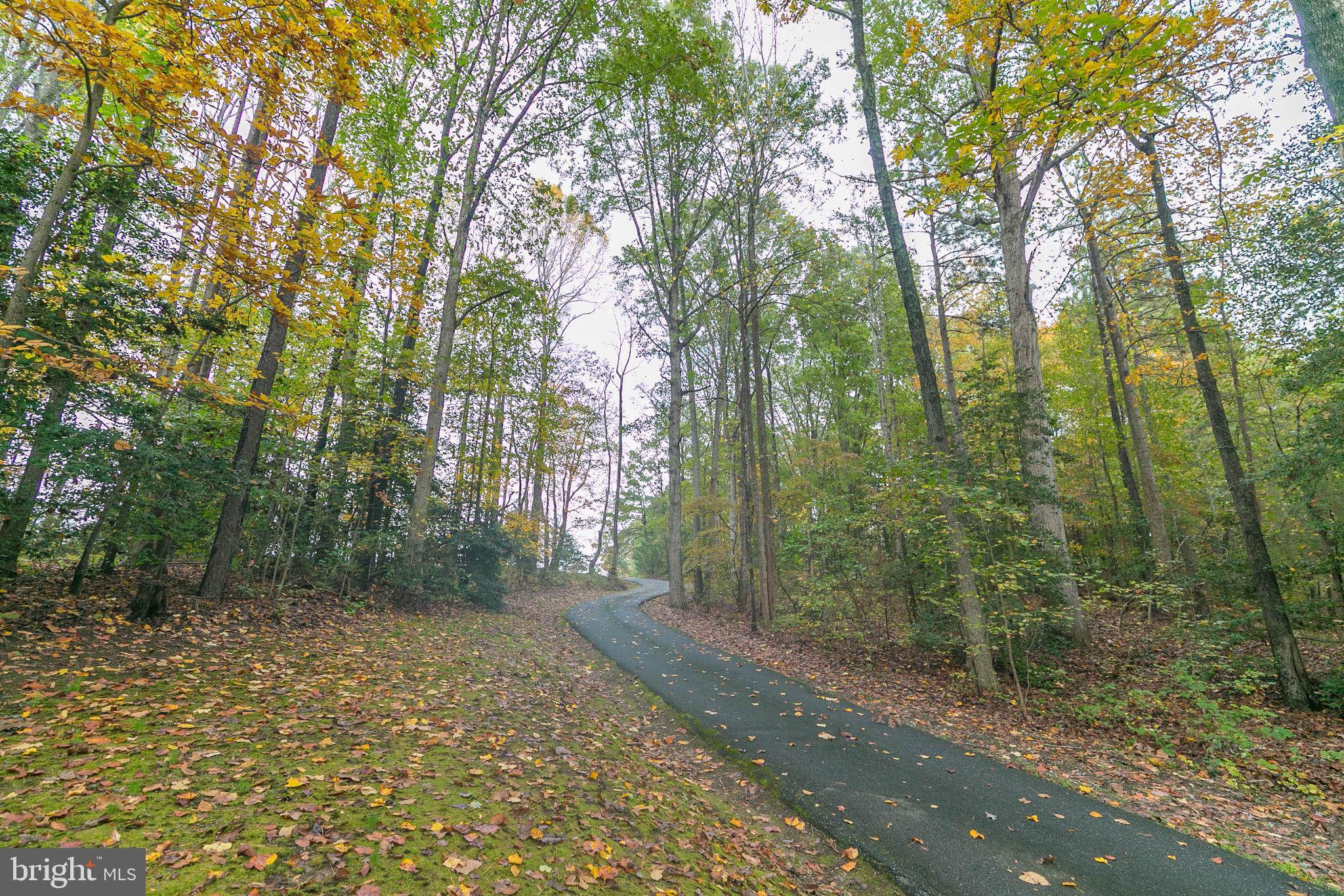 LONG & WINDING ROAD