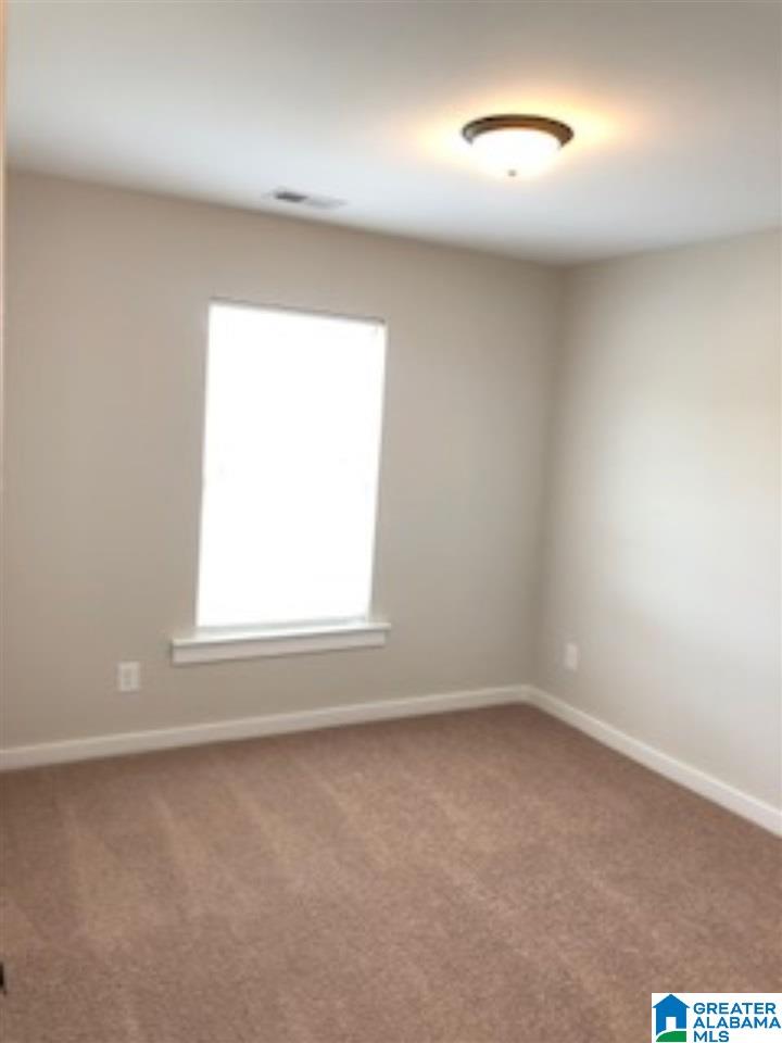 875 Maple Trace Odenville, AL 35120 - Photo 10 of 25